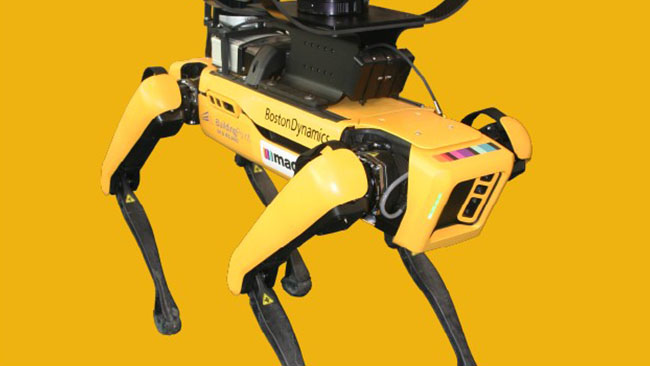 Yellow robot dog named satanta 650 x 366